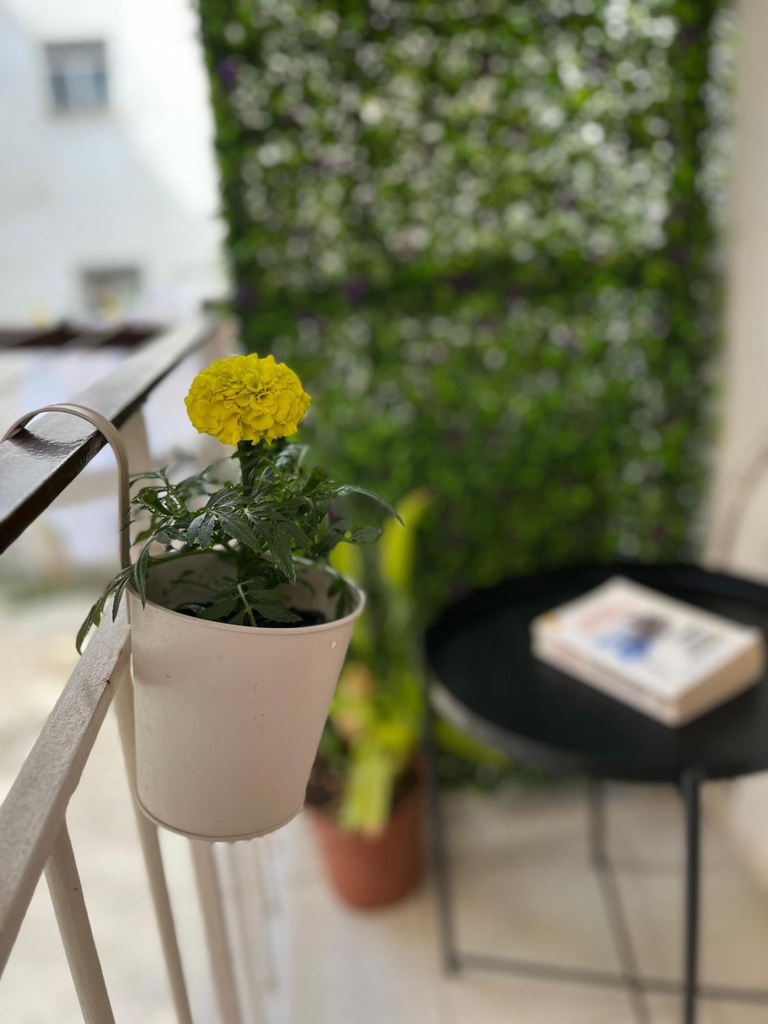 Christella Corfu Town Apartment